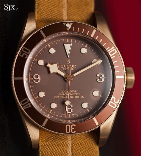 tudor haritage black bay bronze
